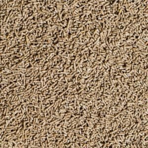 DSC00141-q2hdnnvixid